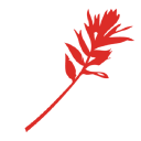 Bank Of Jackson Hole Trust logo