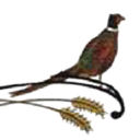 Commercial Bank of Mott logo